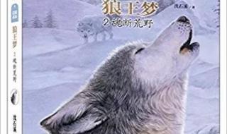 沈石溪的动物小说,要主要内容 狼王梦主要内容